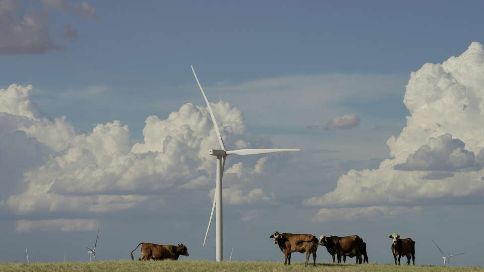 Wind turbines producing energy behind a cattle field Tuesday, Aug. 9, 2022, in Mart. 