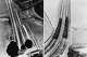 The rise, fall and rebirth of an iconic California roller coaster