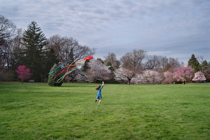 Soaring high when Kite Day takes off — Robin Garrison Leach