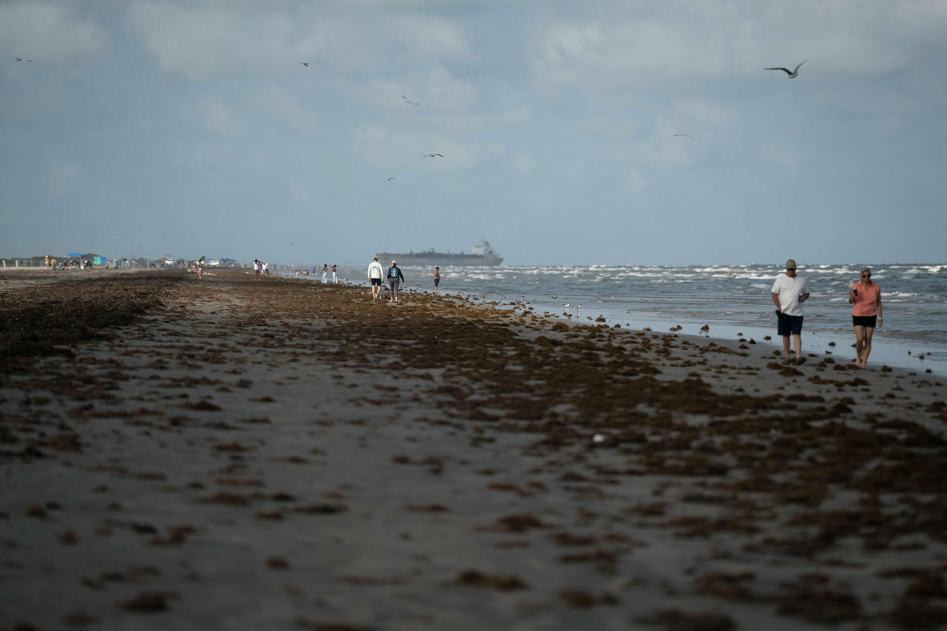 'Unexplained phenomenon' on Texas beaches puzzles scientists