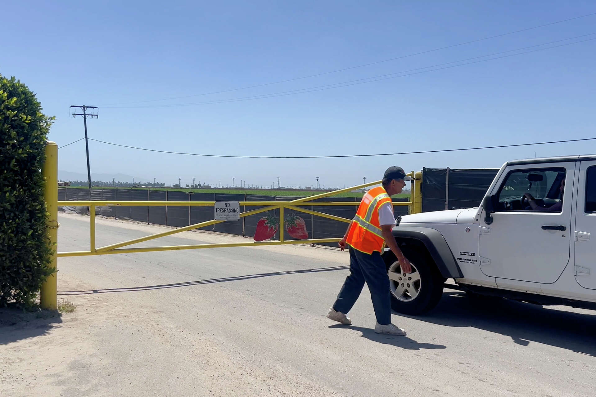 Potential ICE raid thwarted at Central Calif. strawberry facility