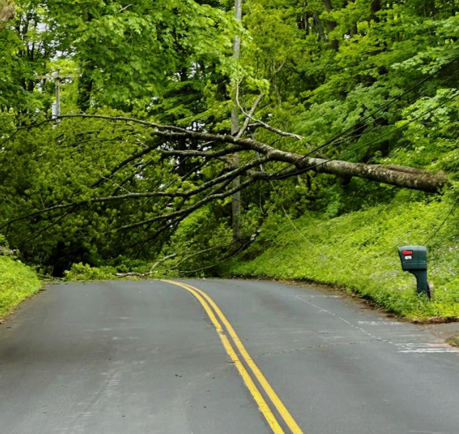 CT power outages mostly restored after storm's high winds: Officials