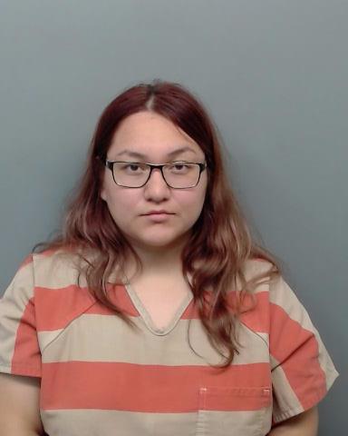 Mother arrested after 5-year-old son seen walking toward the street