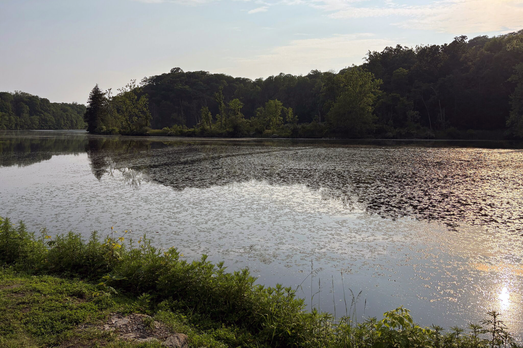 Dredging part of the creek bed polluted with chemicals like mercury, cyanide, and arsenic would initially cost more than $80 million, according to the plan.