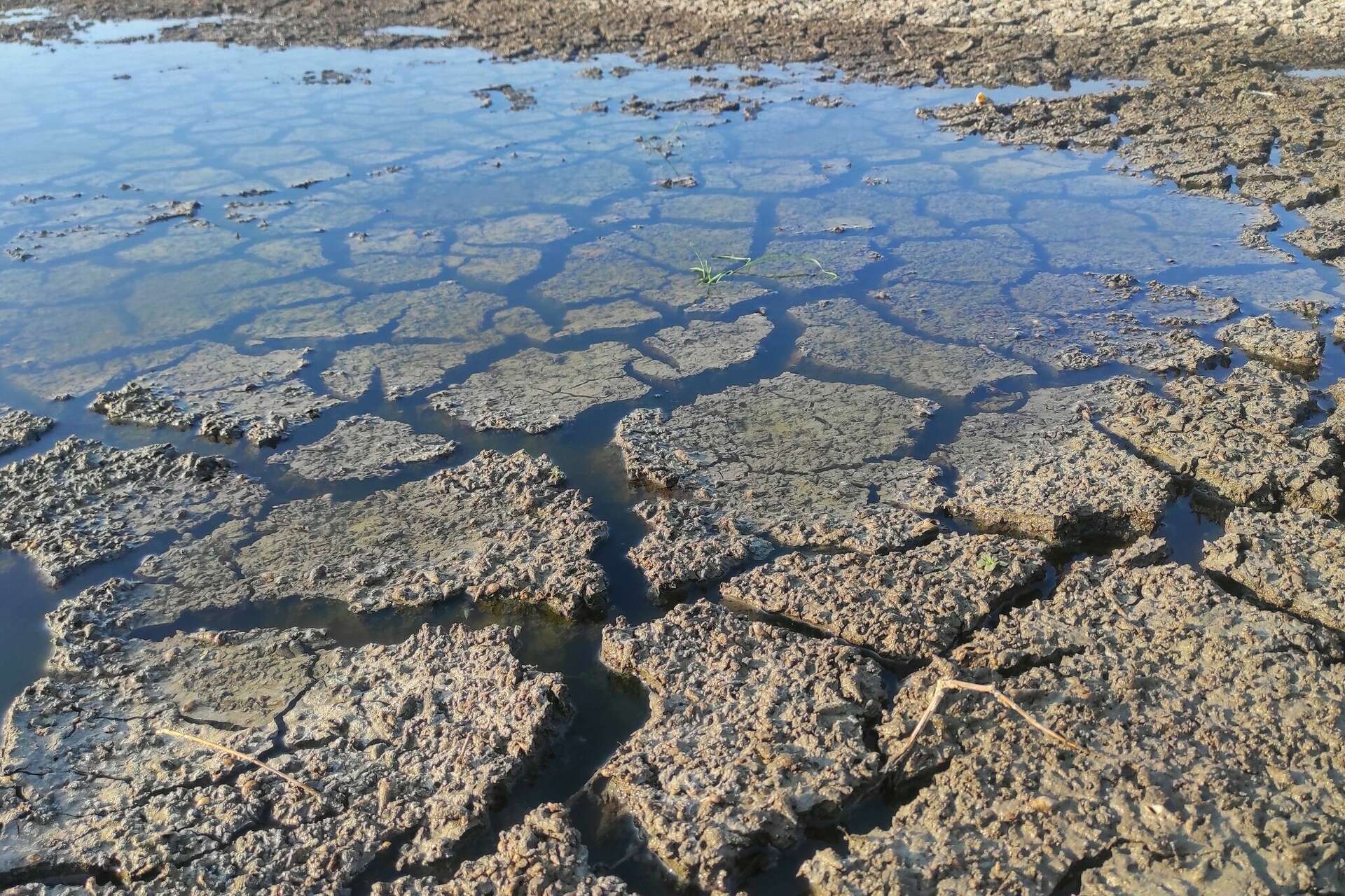 Extreme drought exposes what was buried beneath a Texas lake