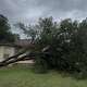 A fallen tree is shown in front of a house in Castroville, Texas.