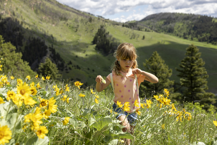 The allure of summer's solitude — Robin Garrison Leach
