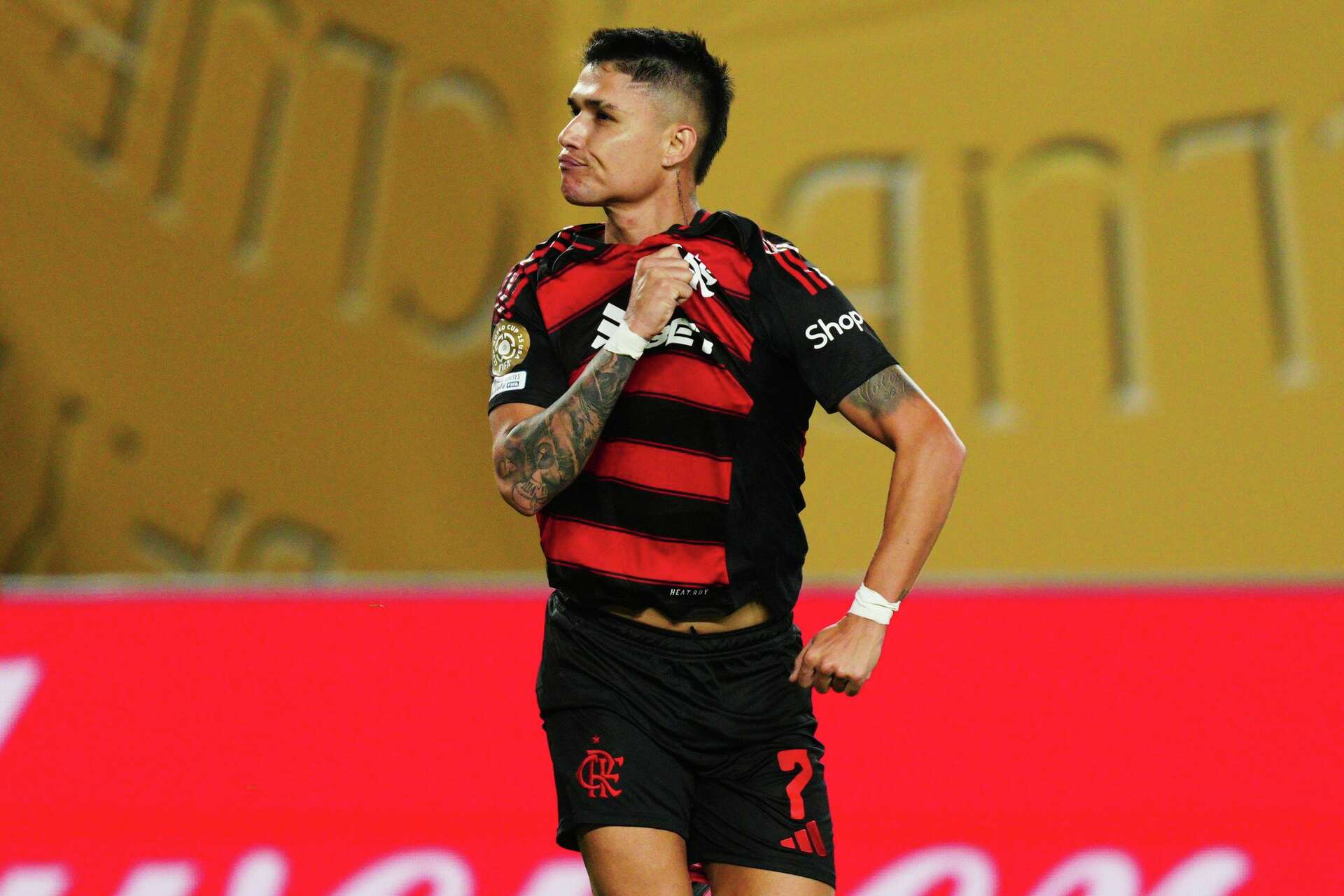 Luiz Araujo