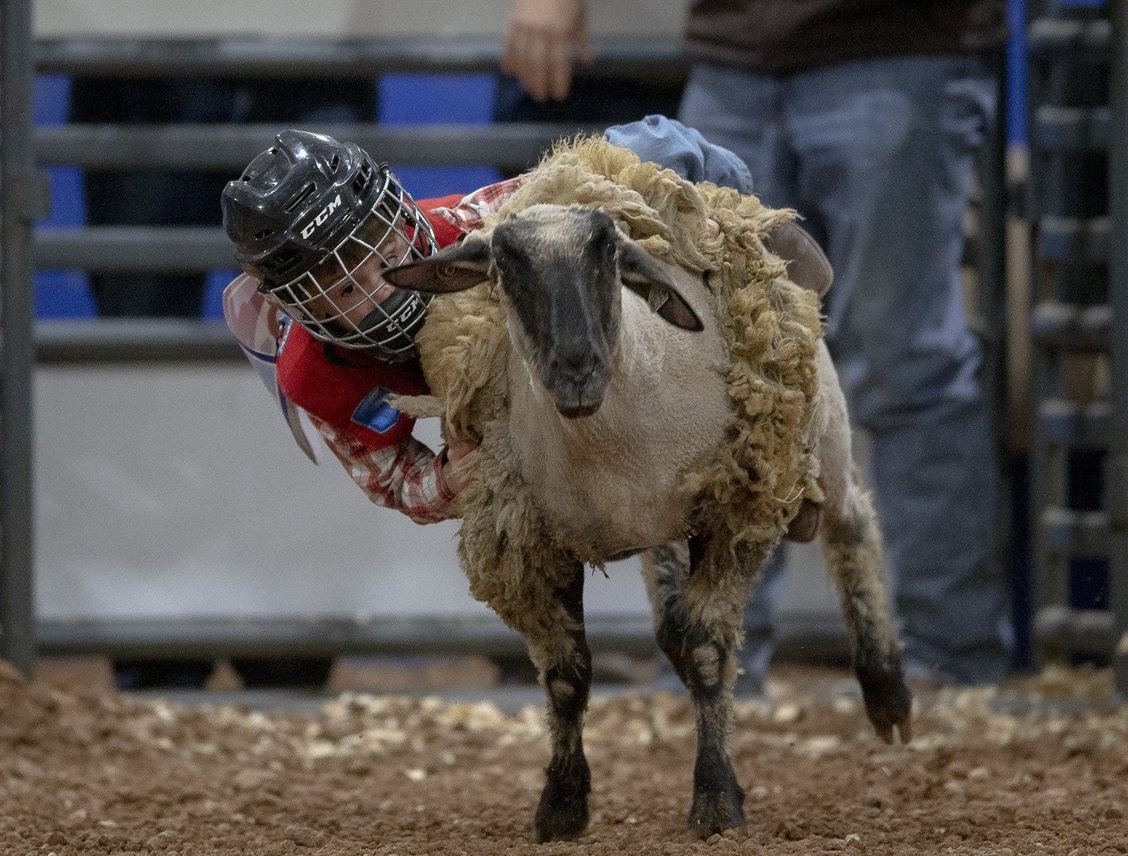 Jewish Rodeo The rodeo continues and more family fun, March 24-30