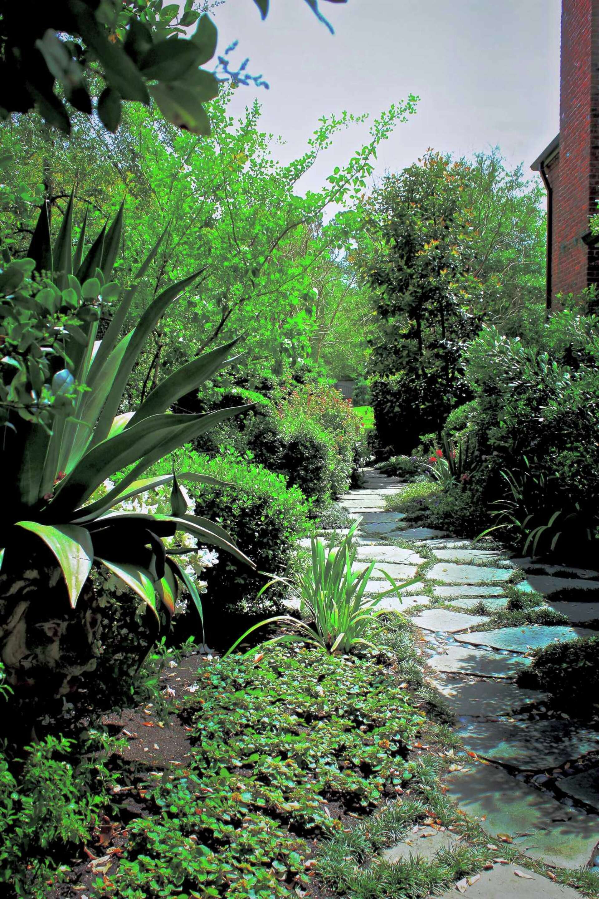 Create a lush Mediterranean-style garden that's water-wise, too, image size:1920x2880