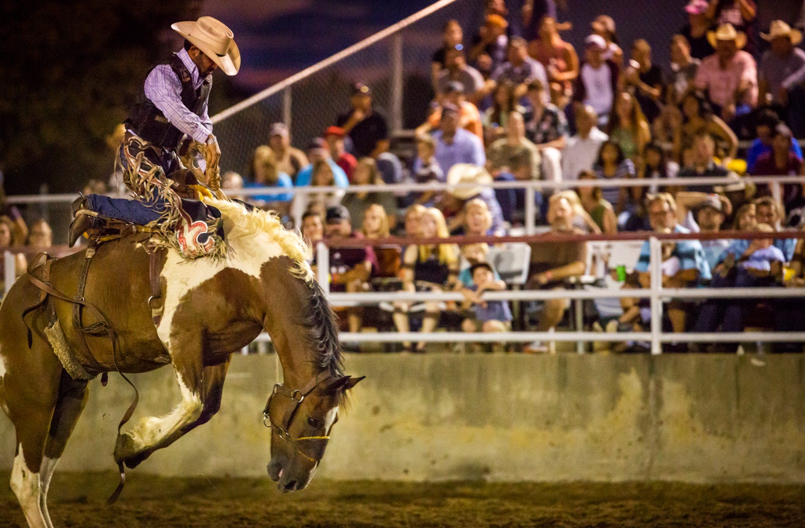 Bashore Rodeo Bastrop Homecoming and Rodeo celebrates 74th year