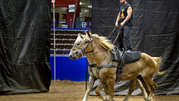 Roman Riding Impossible When a single horse just doesn’t cut it, try Roman riding