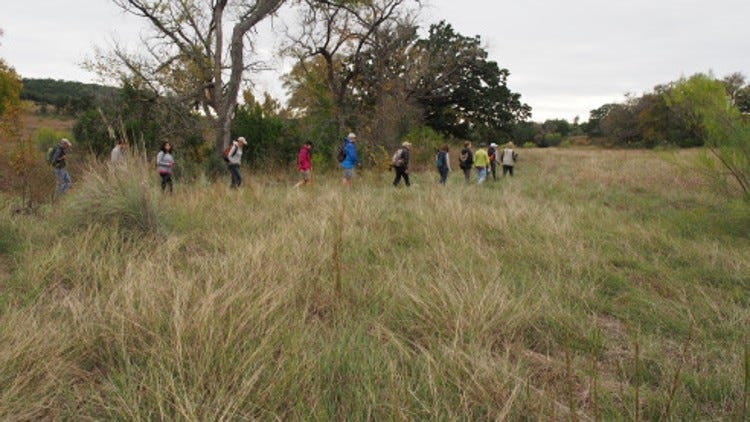 Need a new trail? Head to the Doeskin Ranch Unit of Balcones ...