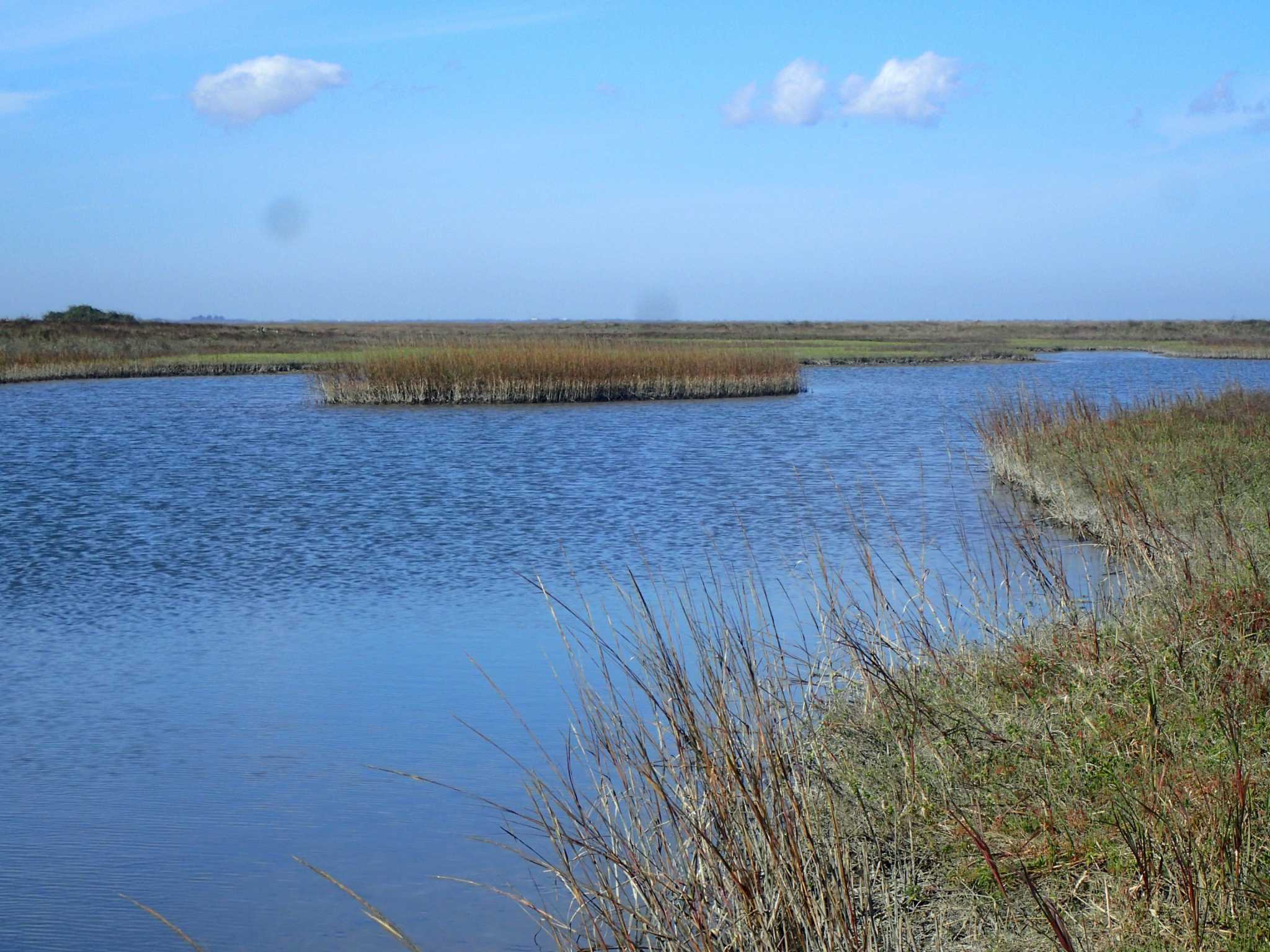Deepwater Horizon settlement money to be used for new coastal land purchase