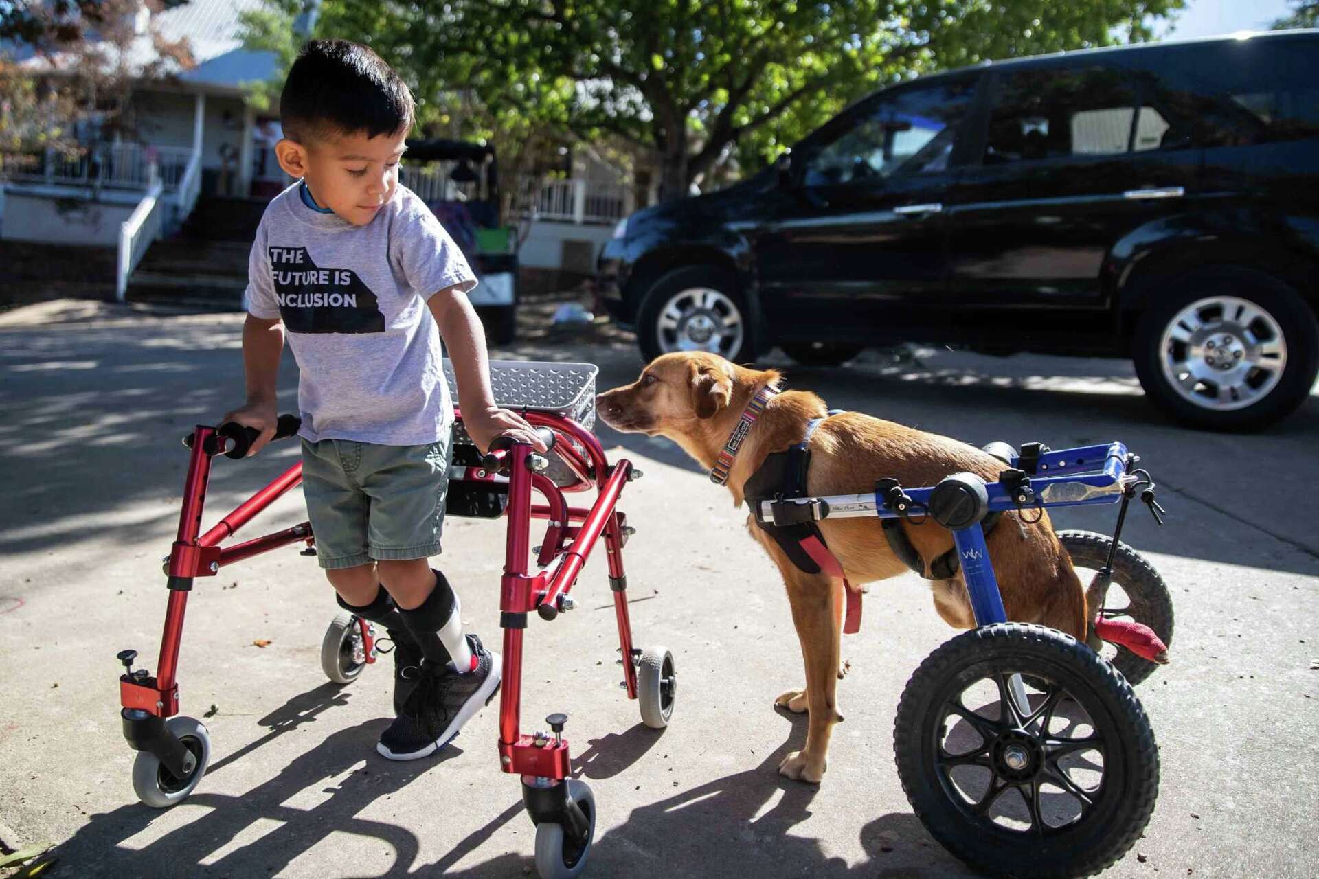 Safe Austin Why Safe in Austin Rescue Ranch went viral 4 years after 'Queer Eye'
