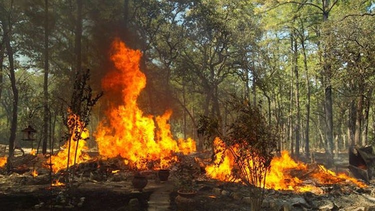Lessons learned in 2011 Complex Fire continue helping fight blazes now
