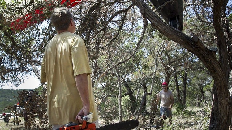 Ultralight plane crashes into tree in Lago Vista