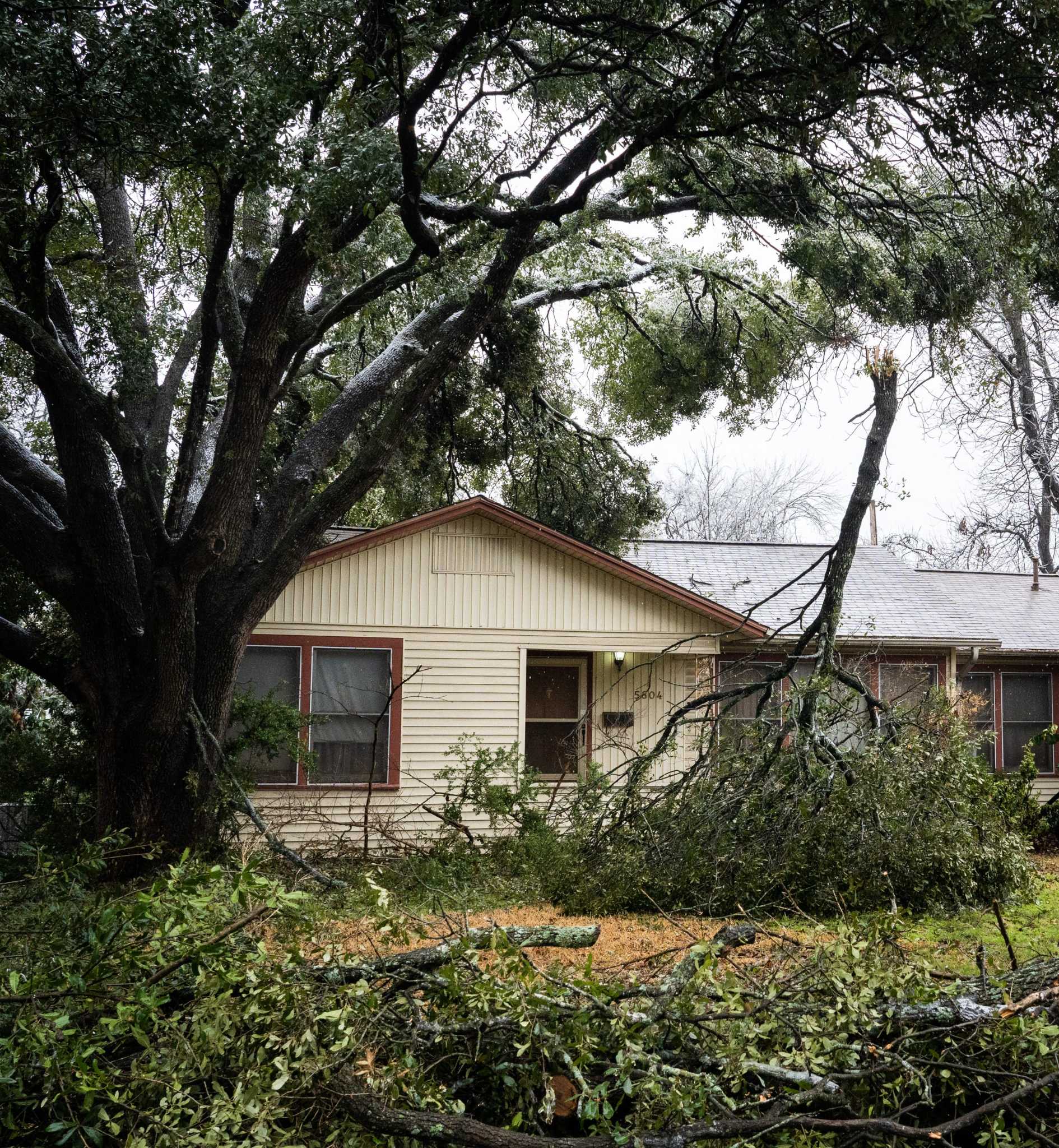 February ice storm to cost Williamson County $8M for debris removal