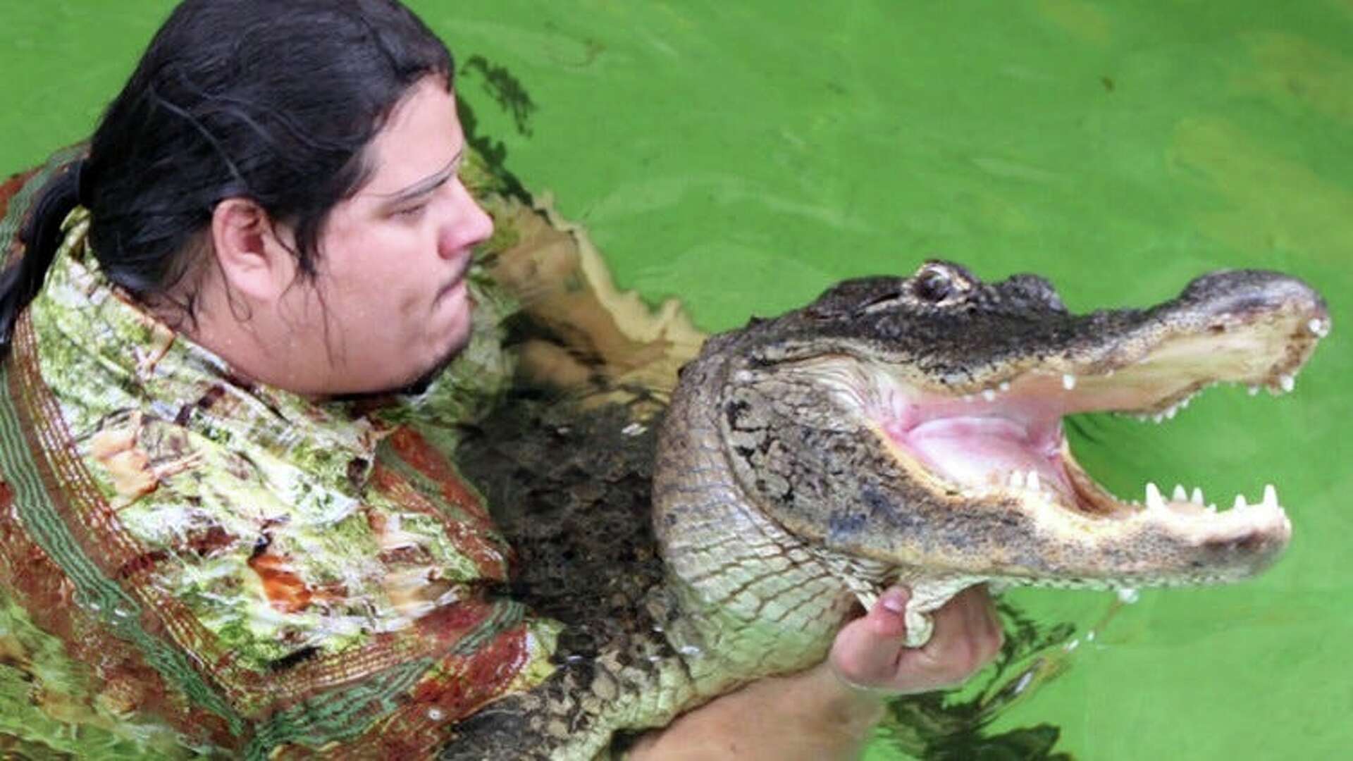 Looking for something different? Try alligator wrestling