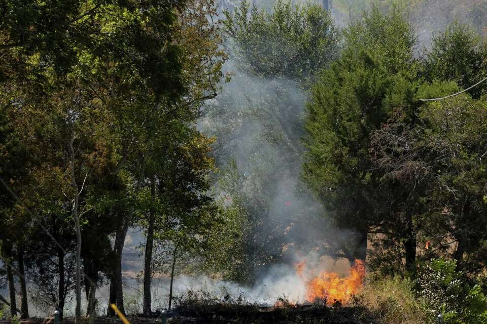 Survival Tactics For A Forest Fire: Essential Tips to Stay Safe