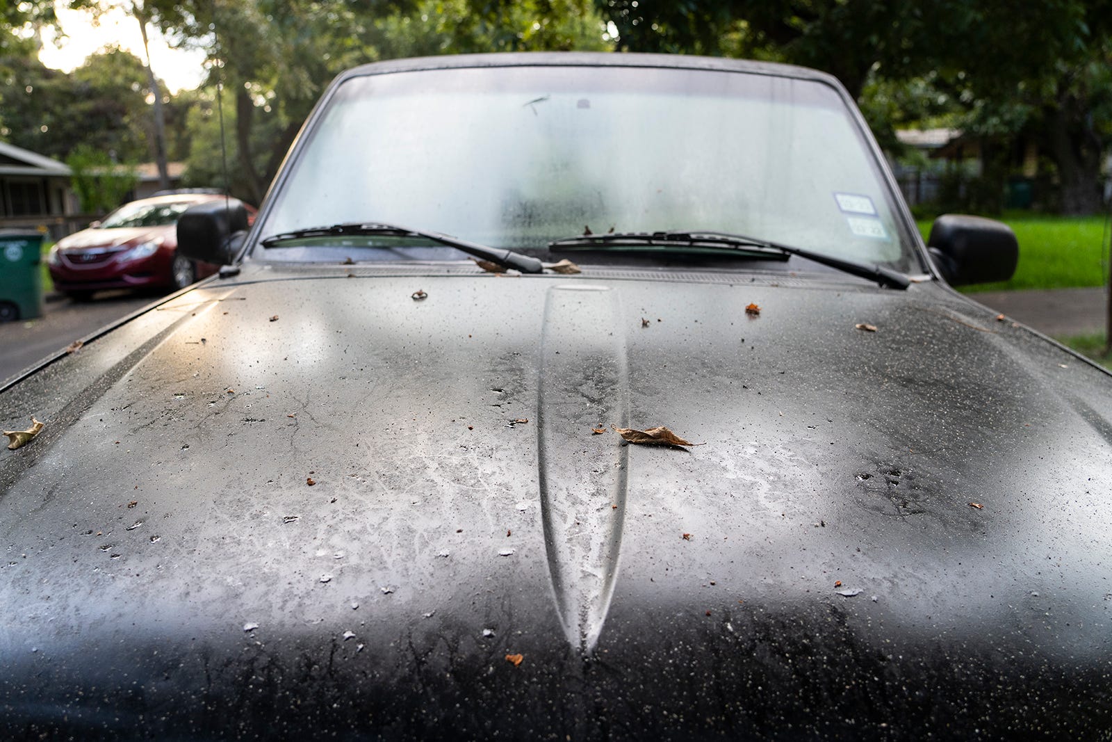 Range Rover Poop Why Austin heat leads to more bug poop on your car and how to stop it