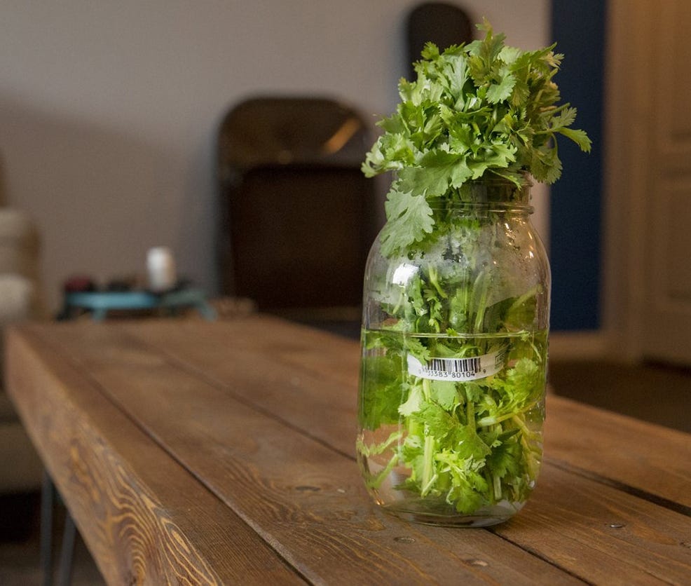 How to Preserve Fresh Cilantro: Ultimate Tips for Lasting Flavor