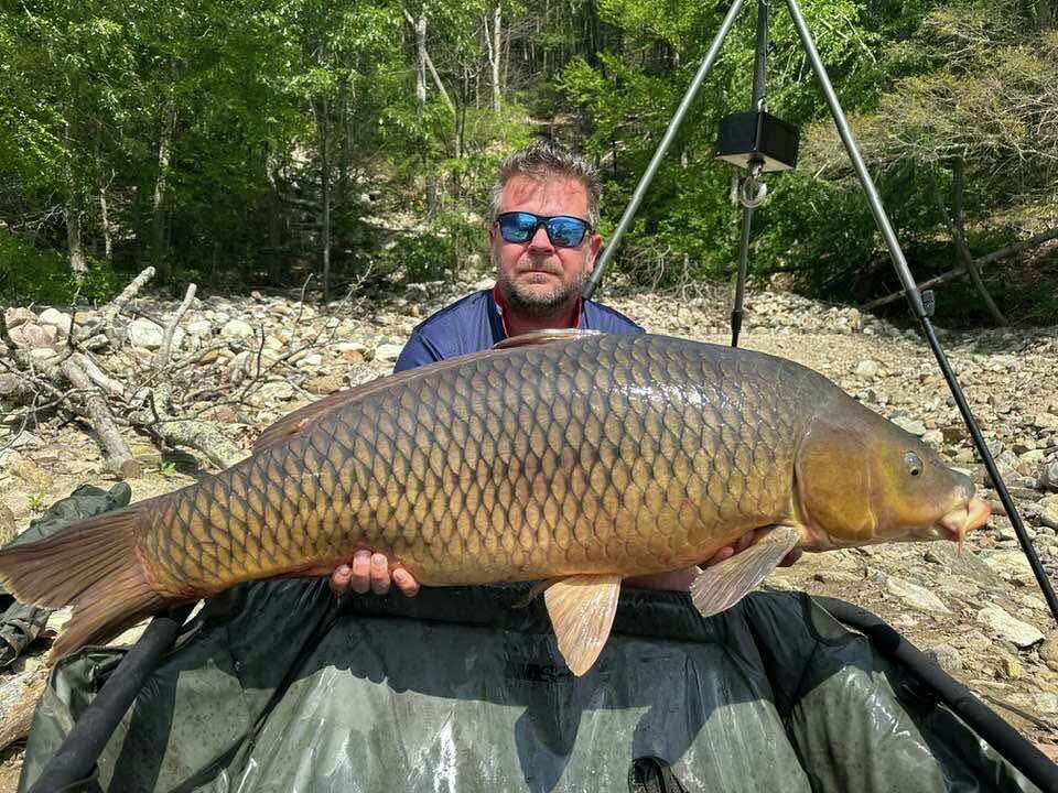 'Mammoth' fish caught in CT lake smashes state record, officials say