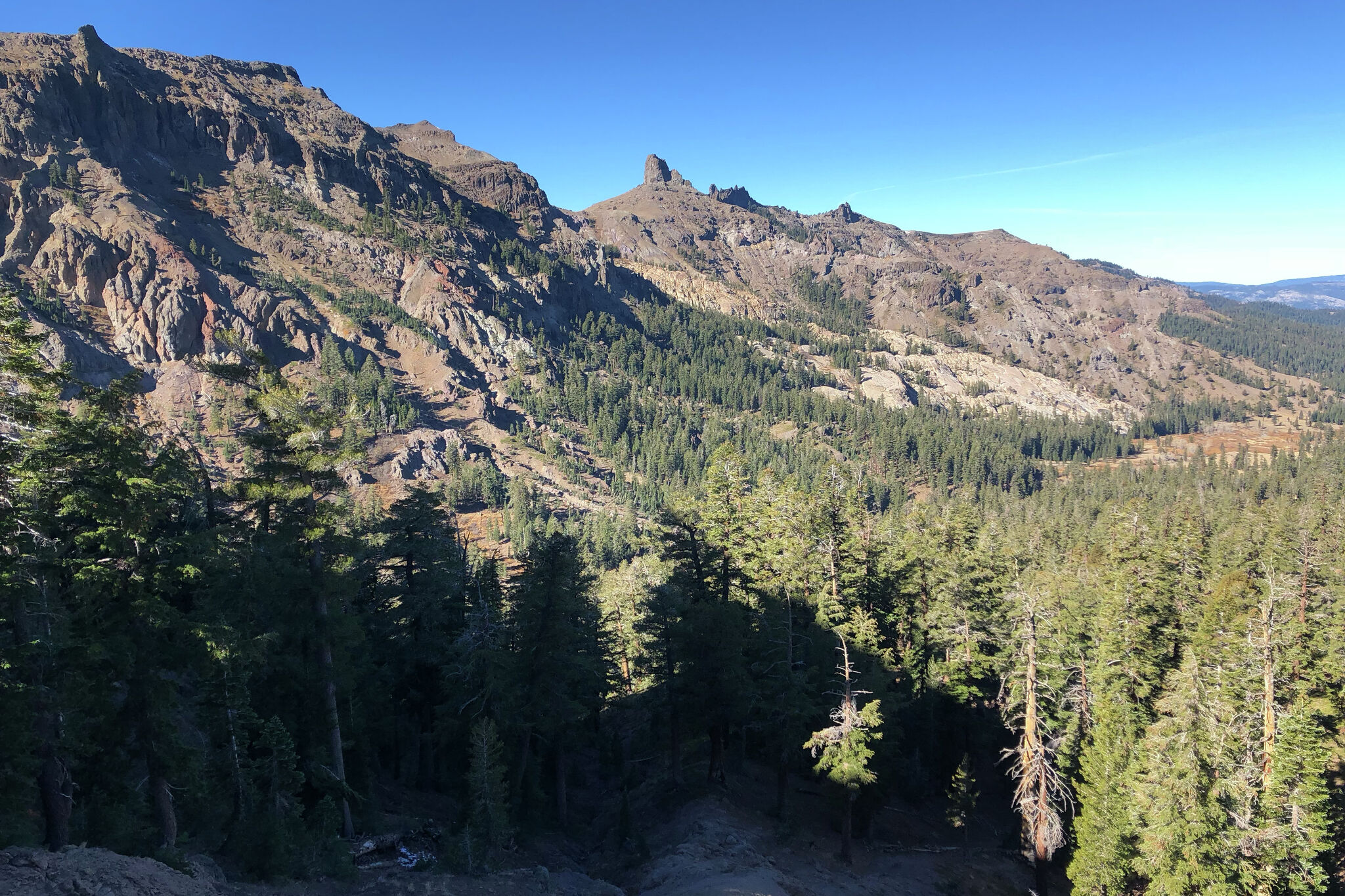 Map: These wild California forests could open to logging under Trump plan