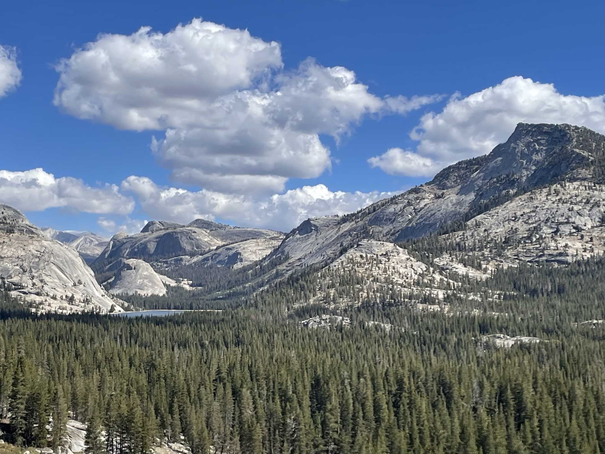 https://s.hdnux.com/photos/01/52/72/55/28027728/3/rawImage.jpg