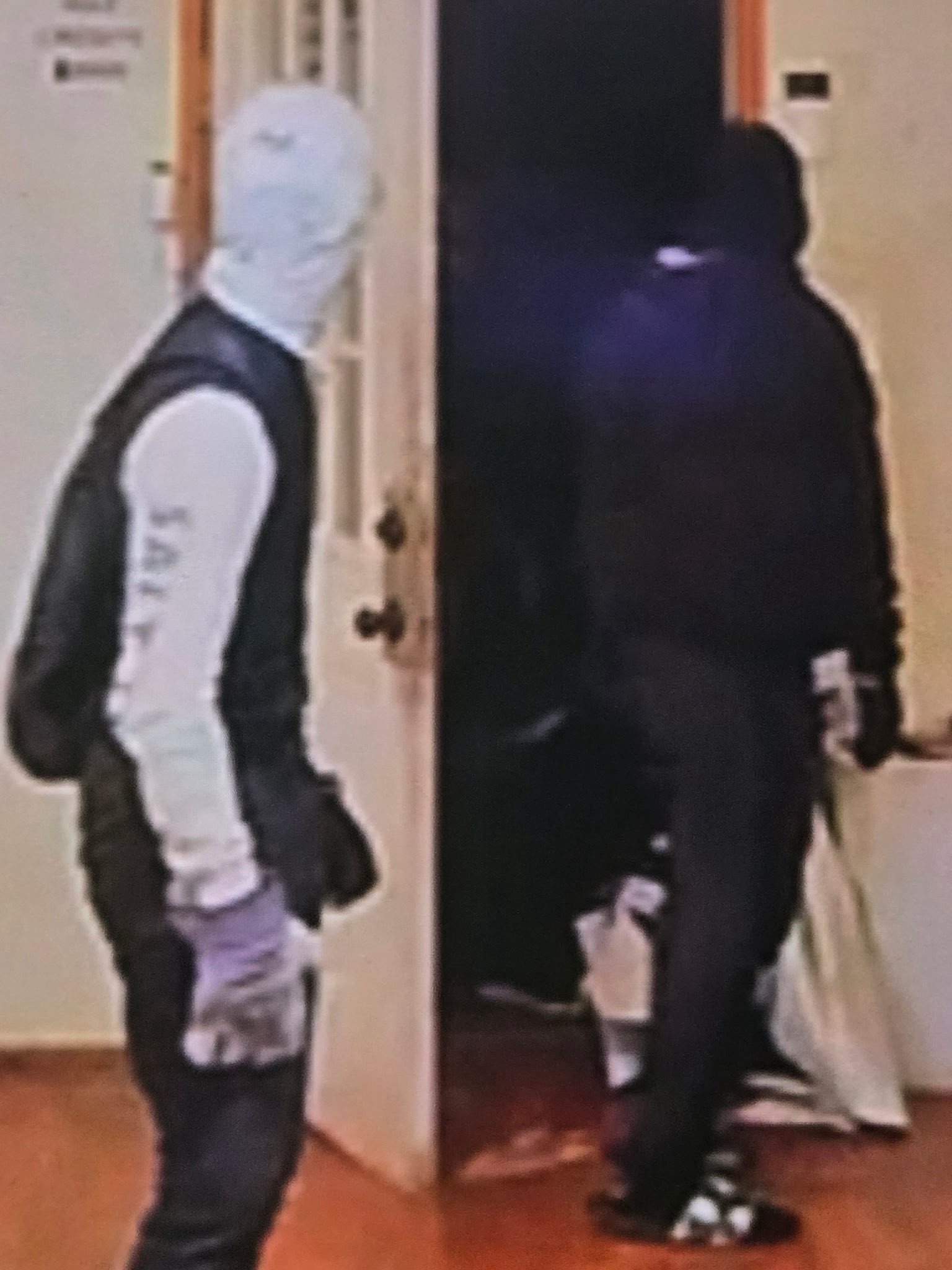 Jasper County deputies search for suspects in Buna smoke shop break-in