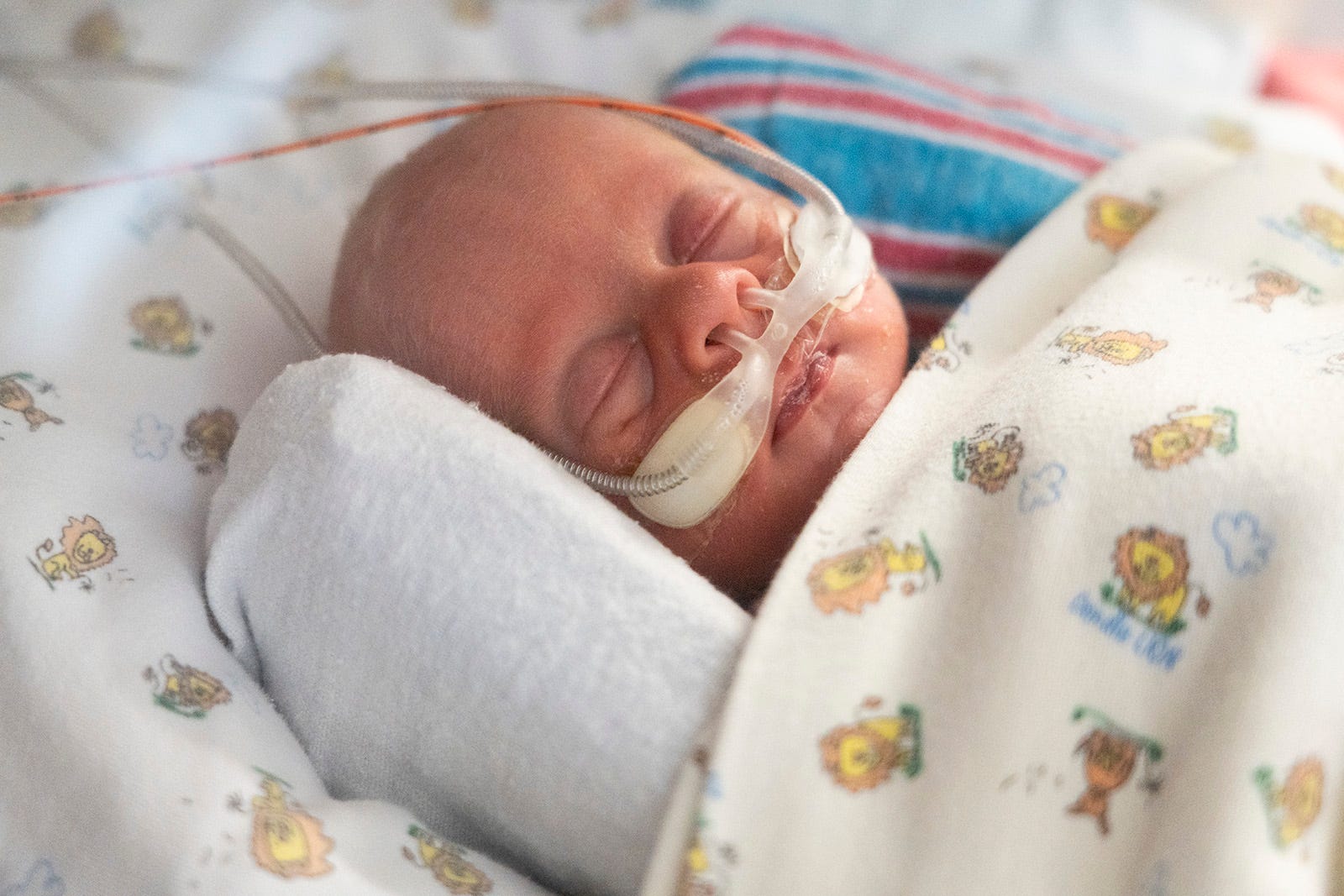How Austin leads science in breast milk for premature babies