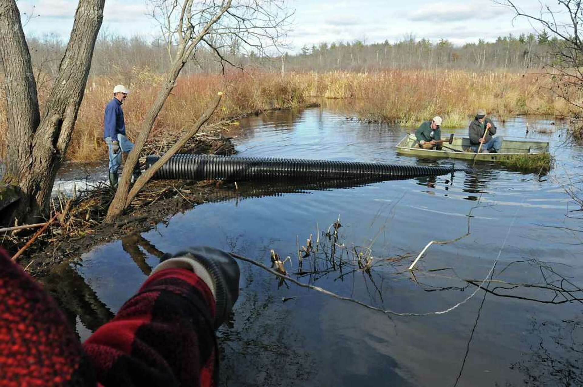 Trying to trick those dam builders