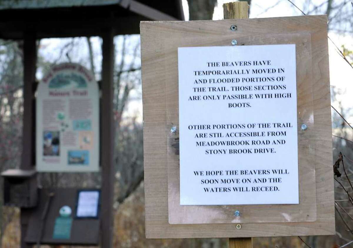 A sign is posted at the Route 29 entrance to the Bog Meadow Trail in Saratoga Springs warns hikers of the damage along the trail. (Lori Van Buren / Times Union)