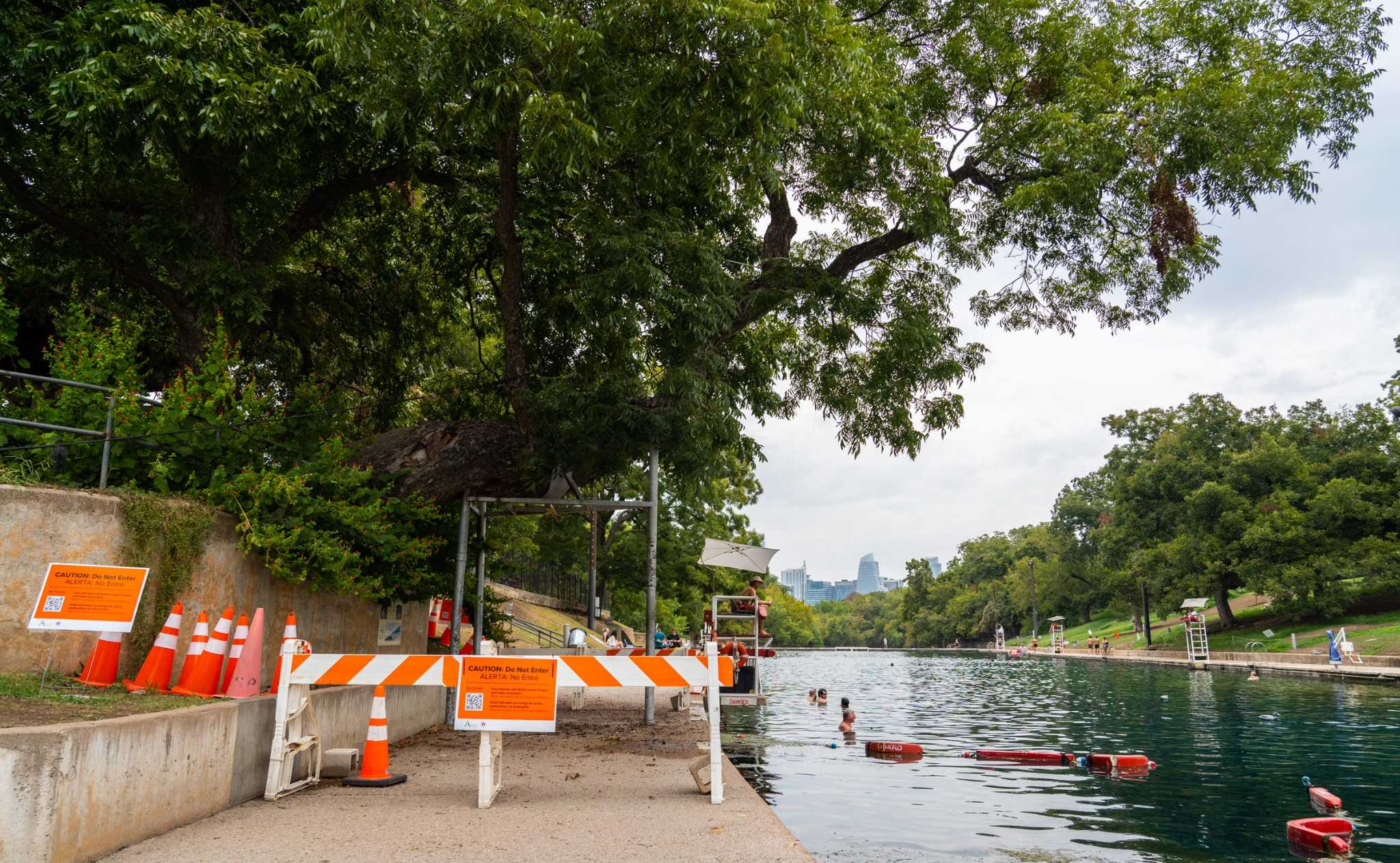 Photos: Iconic Barton Springs pecan tree 'Flo' gets fungal infection