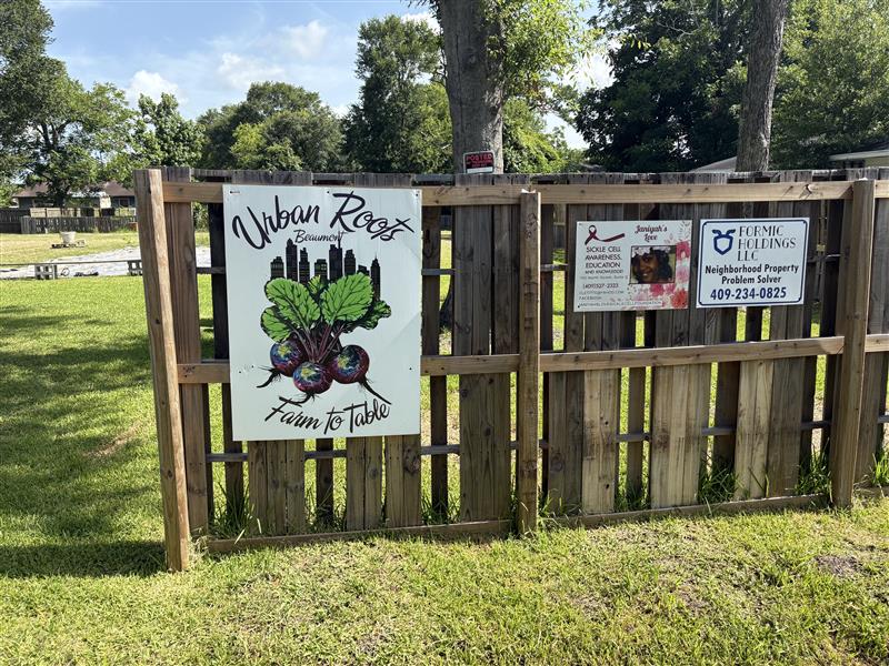 Urban Roots showcases gardening, culture and small businesses