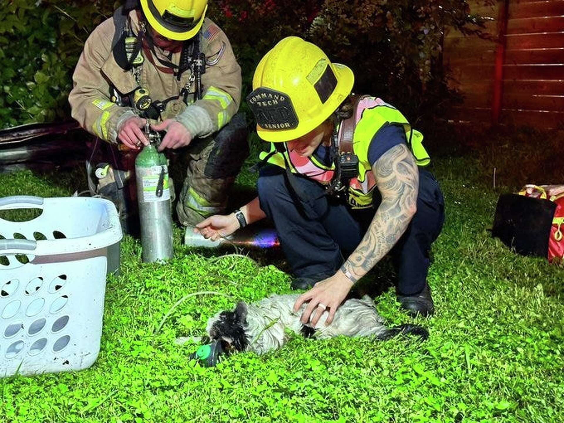 Fire crews rescue 1 person, 3 cats from Austin house fire late Monday
