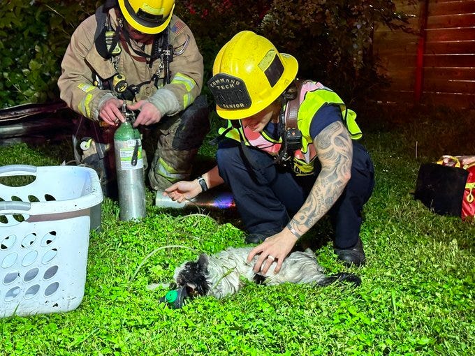 Fire crews rescue 1 person, 3 cats from Austin house fire late Monday