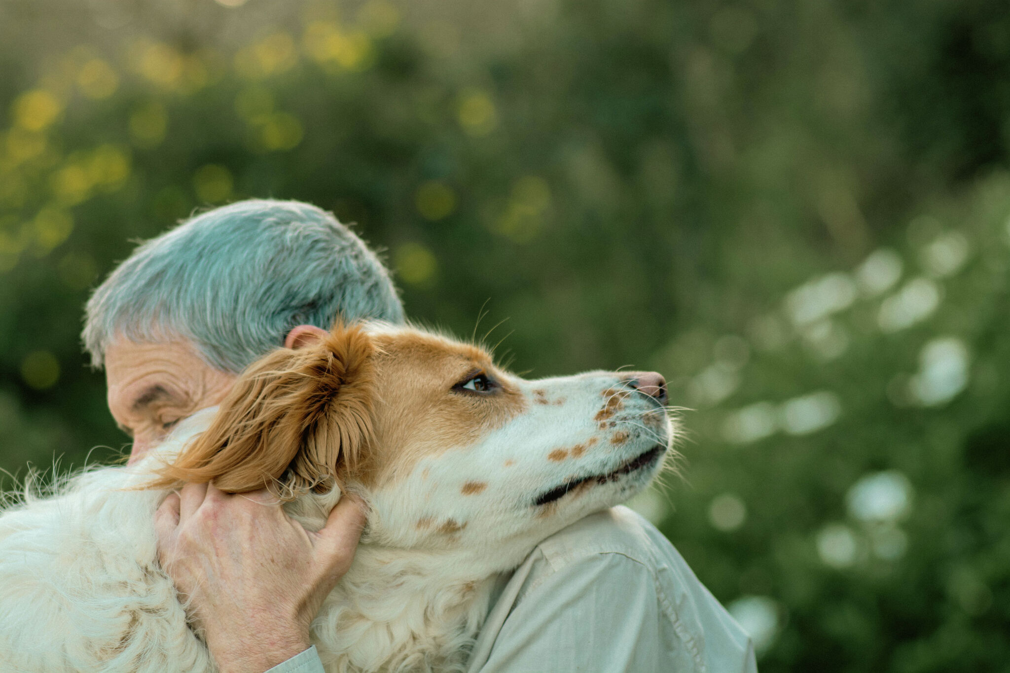 In the wake of tragedy, pets offer comfort — and need our help