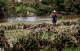 A first responder makes his way along the banks of the Guadalupe River near Center Point, Texas on July 8, 2025, looking for people who may have been swept away in the early morning flood on July 4 as recovery efforts continue.
