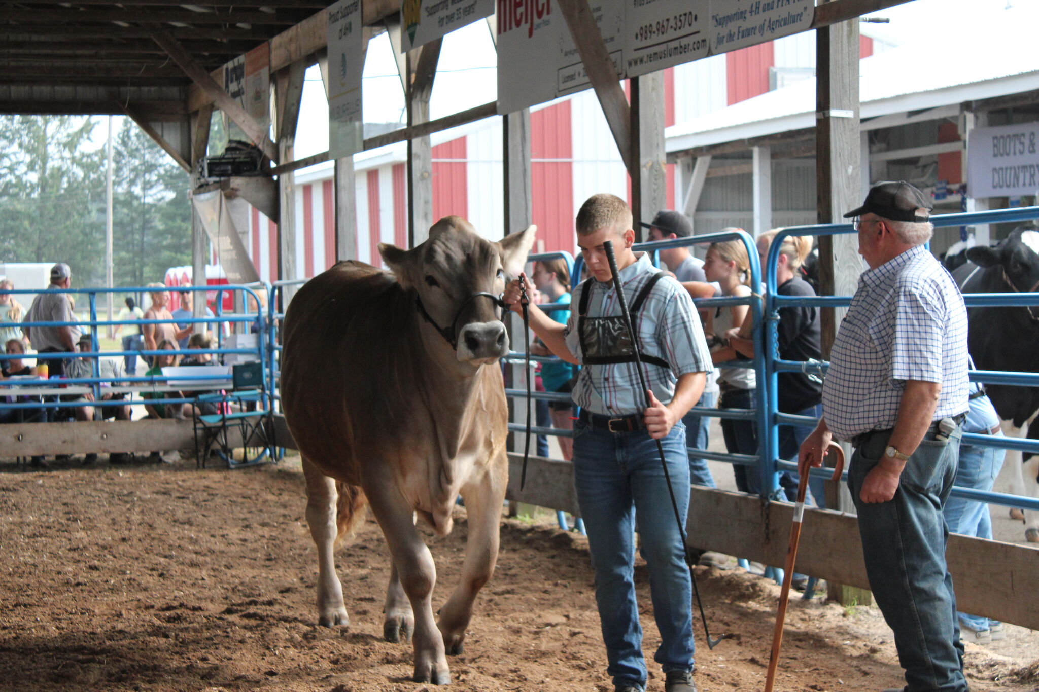 Trump administration resumes sending - RawImage 