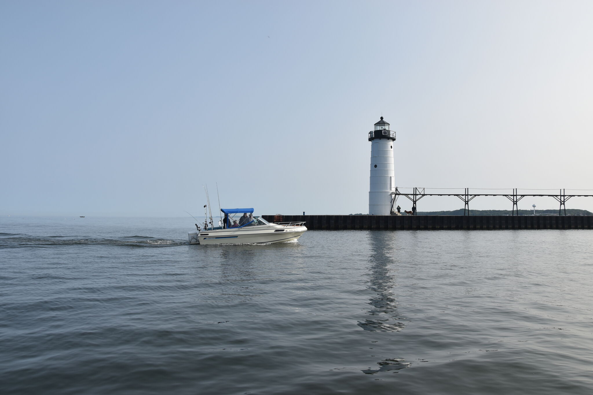 Sports Netting Michigan