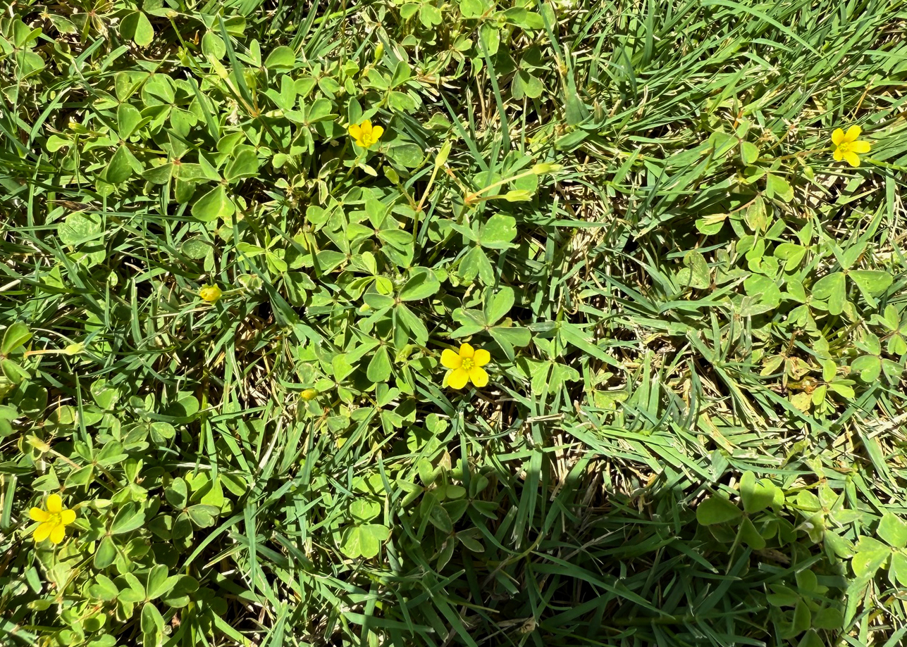 https://s.hdnux.com/photos/01/53/51/56/28220347/5/rawImage.jpg
