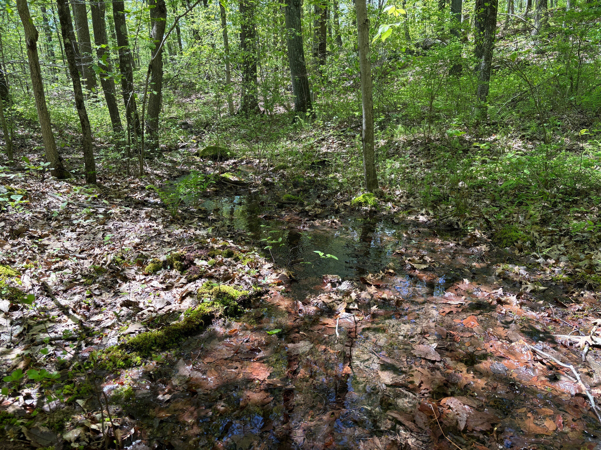 Regional Water Authority buys 24 - RawImage 