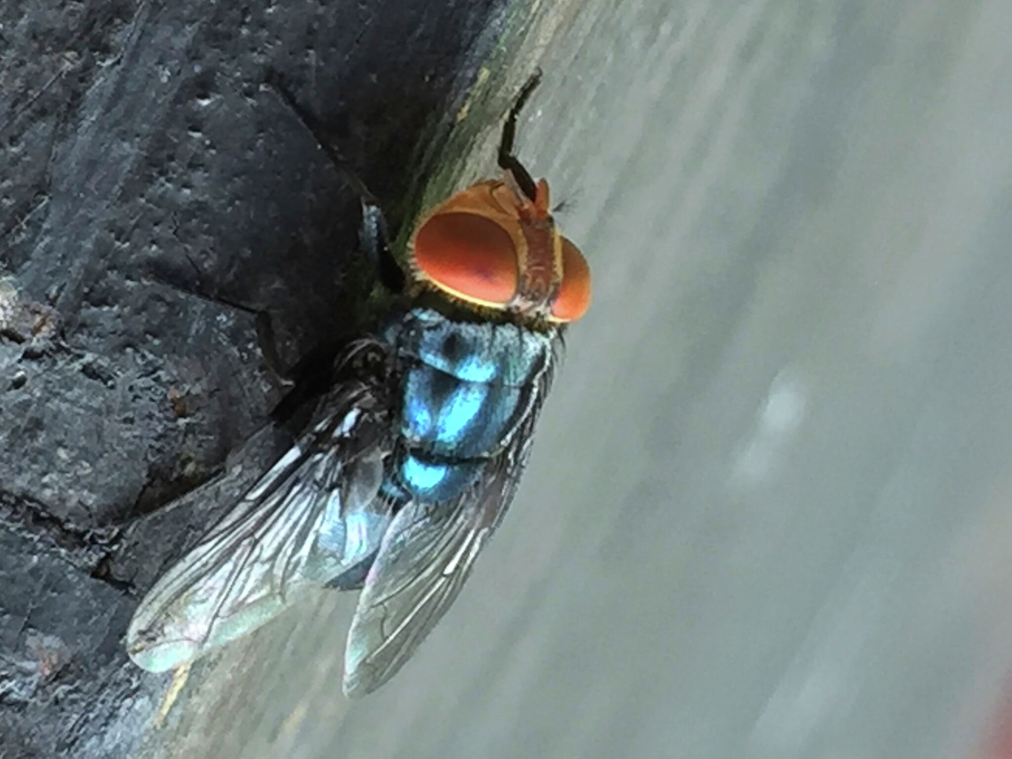 https://s.hdnux.com/photos/01/53/52/35/28223310/5/rawImage.jpg