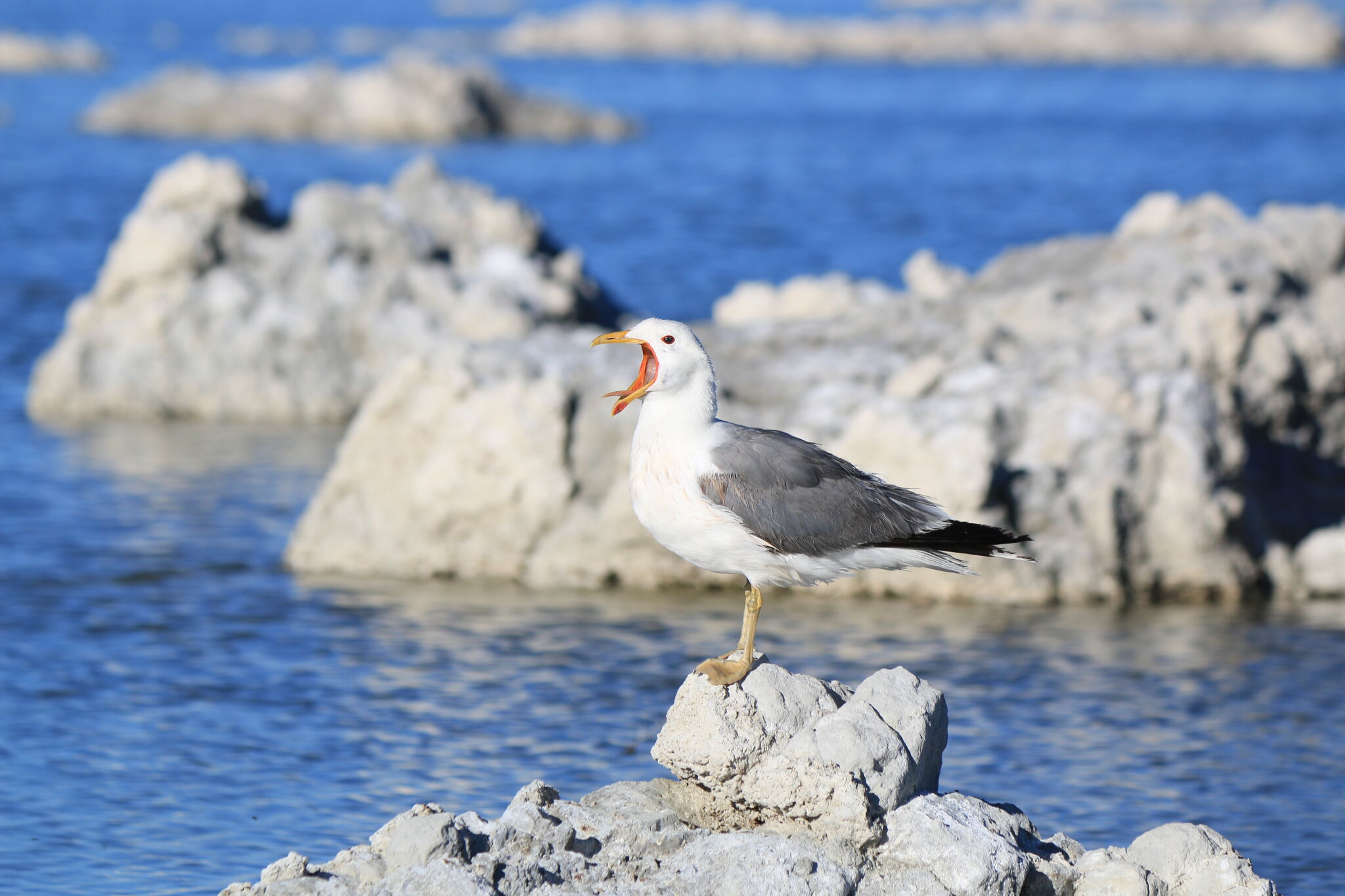 https://s.hdnux.com/photos/01/53/52/43/28223720/5/rawImage.jpg