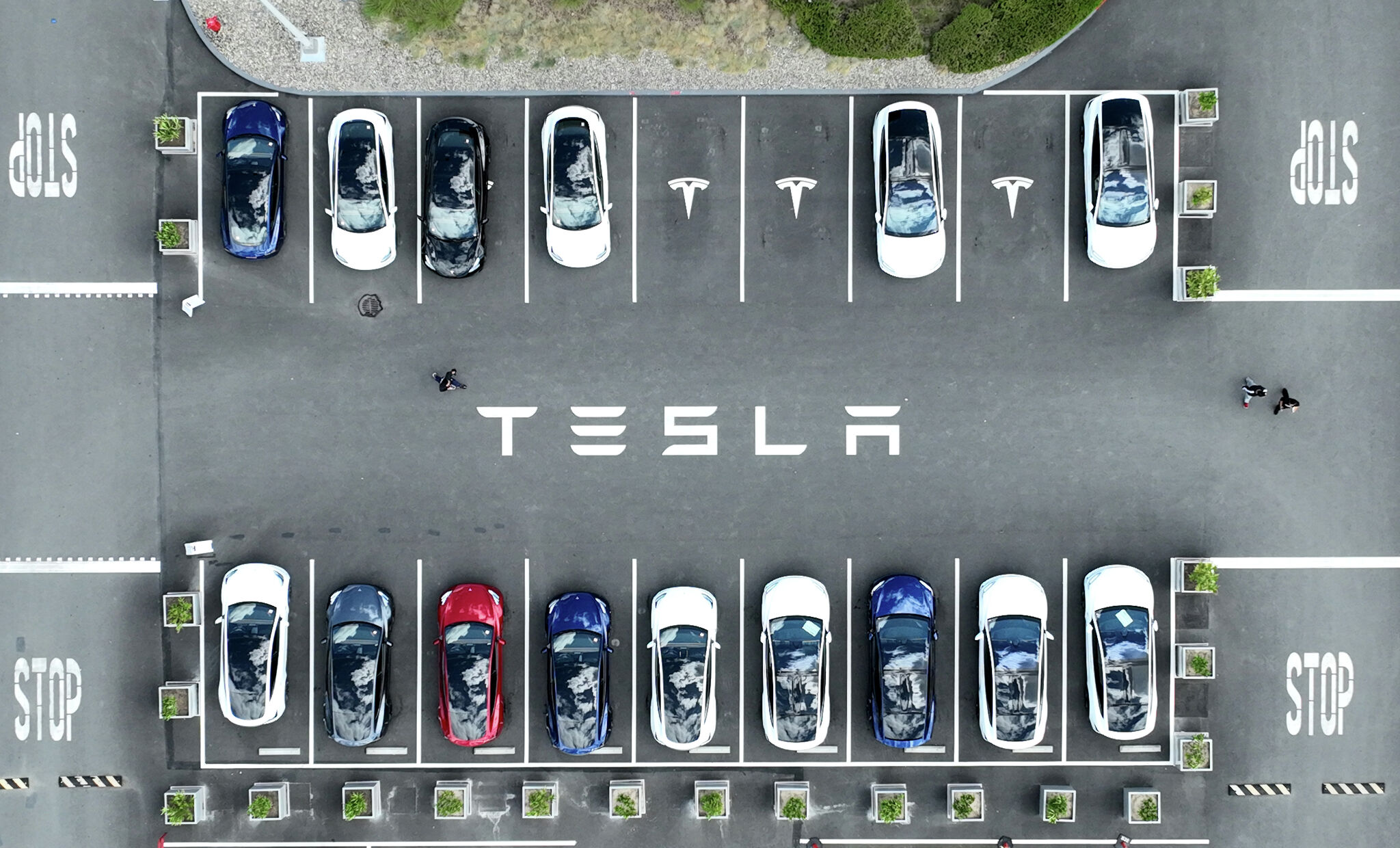 Bay Area politician eviscerates Musk's 'uniquely' bad California robotaxi plans - SFGATE