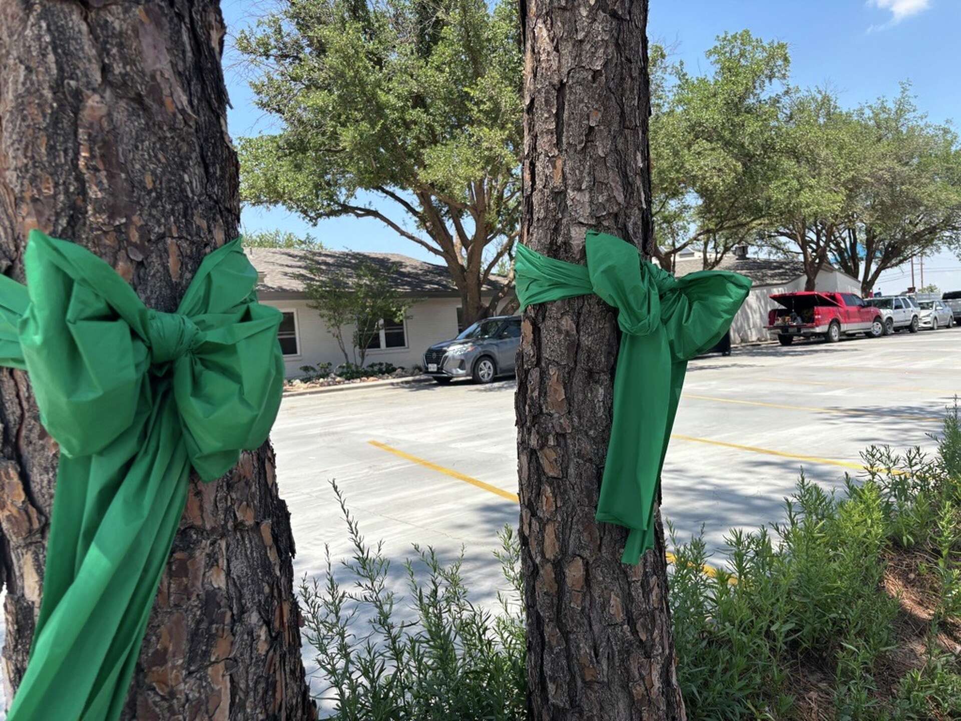 Midlanders tie green bows on trees honor July Fourth flood victims