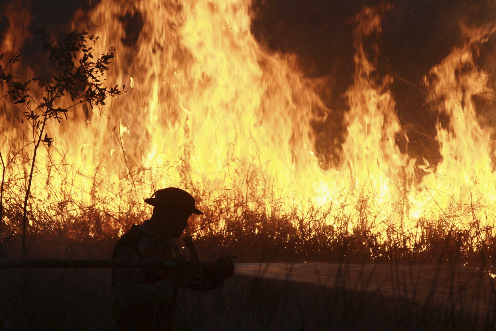 Sequía en Serbia obliga a llevar agua de emergencia para ganado y caballos – Yahoo Home