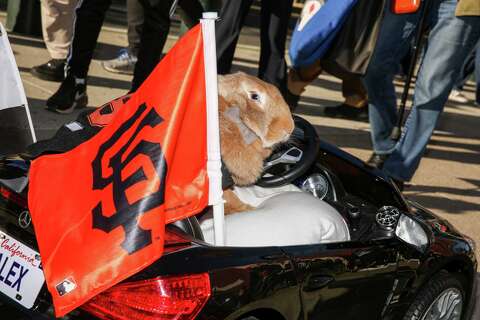 ozzy the rabbit