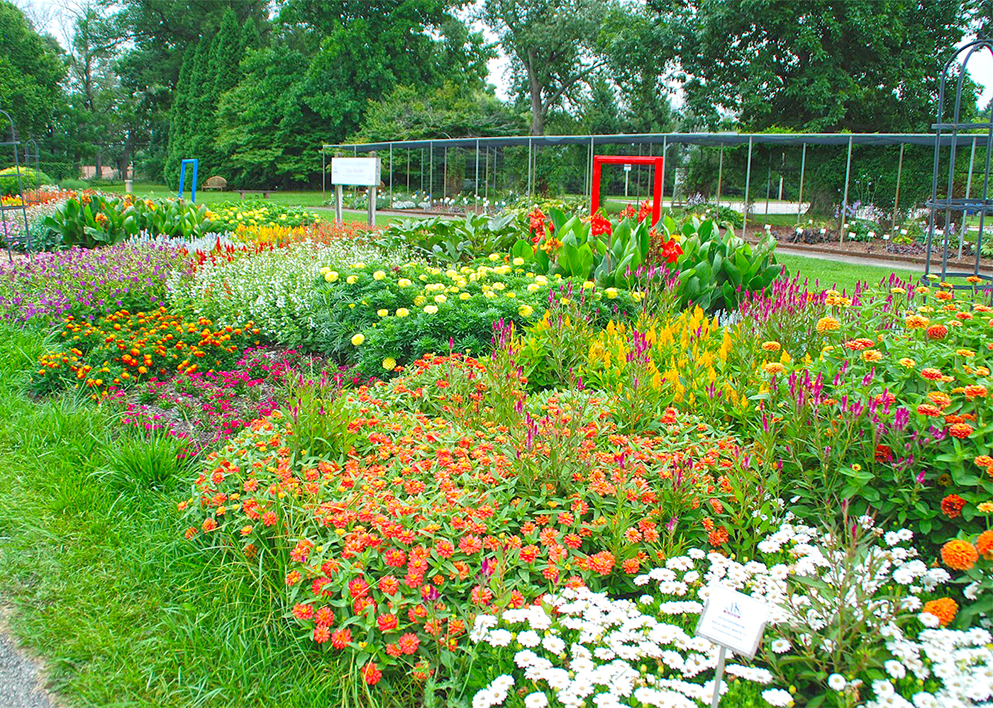 Fresh Look at Start Gathering Ideas For Next Year S Garden Now